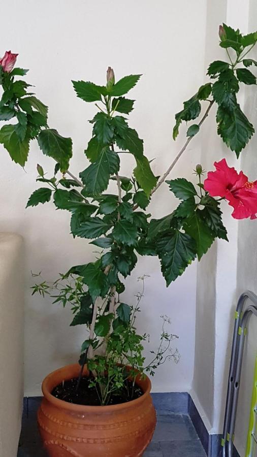Fyllou Apartment Asproválta Eksteriør billede
